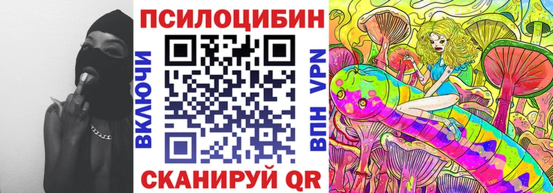 Галлюциногенные грибы Cubensis Коряжма